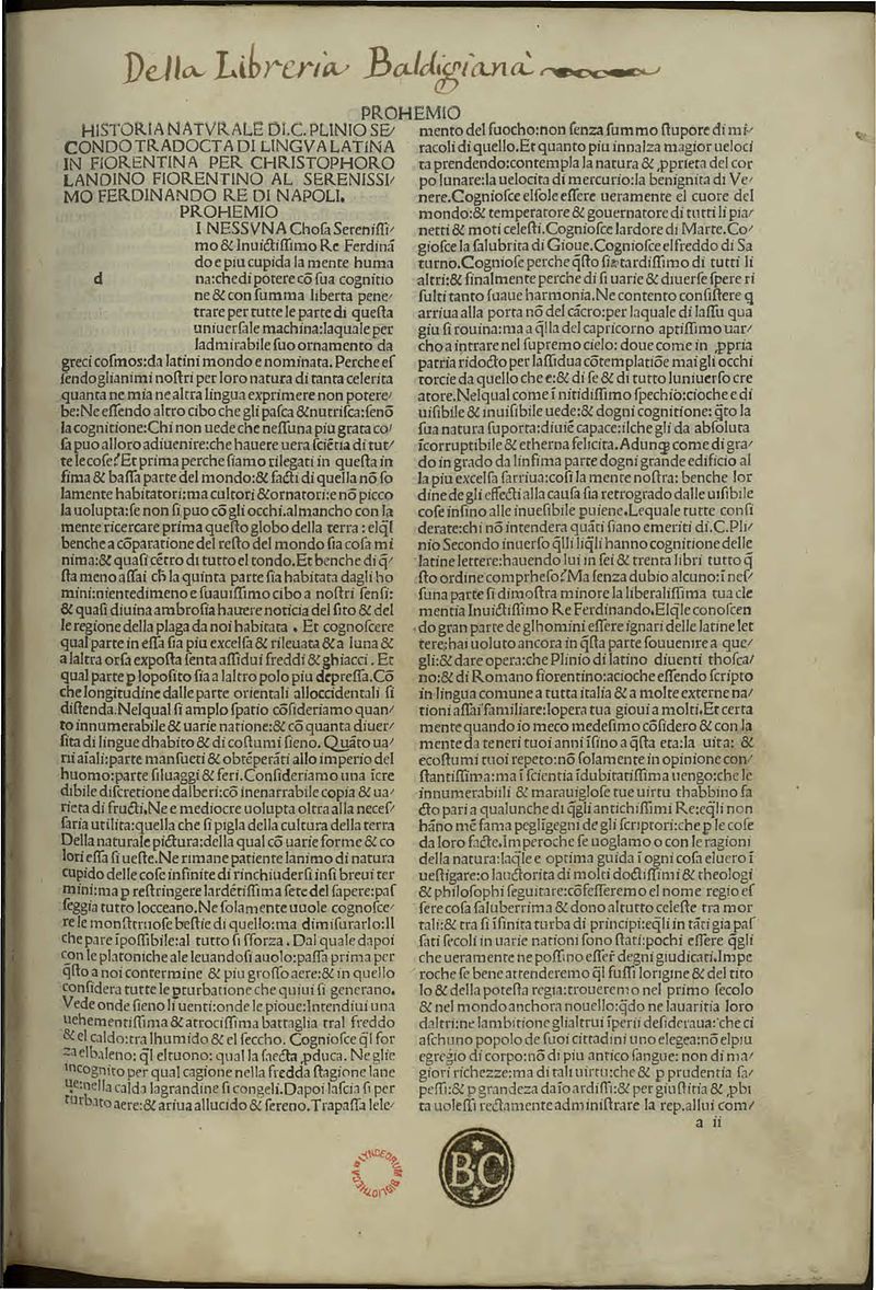 plinio 7